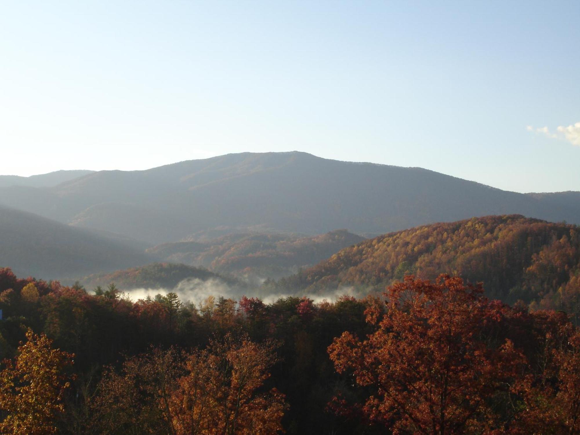 Bearly Wait Apartment Gatlinburg