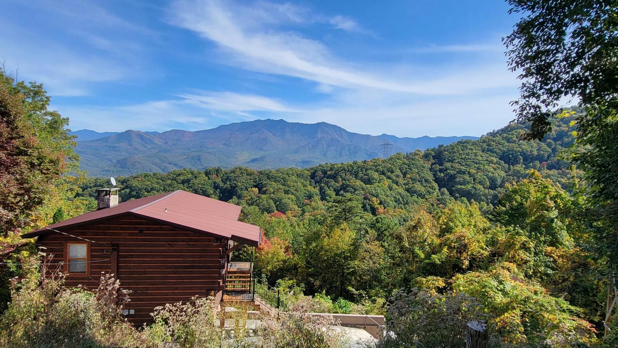 Bearly Wait * Gatlinburg
