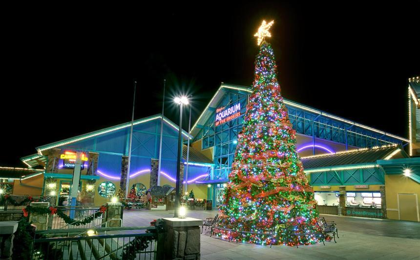 Magic Moments Holiday home Gatlinburg