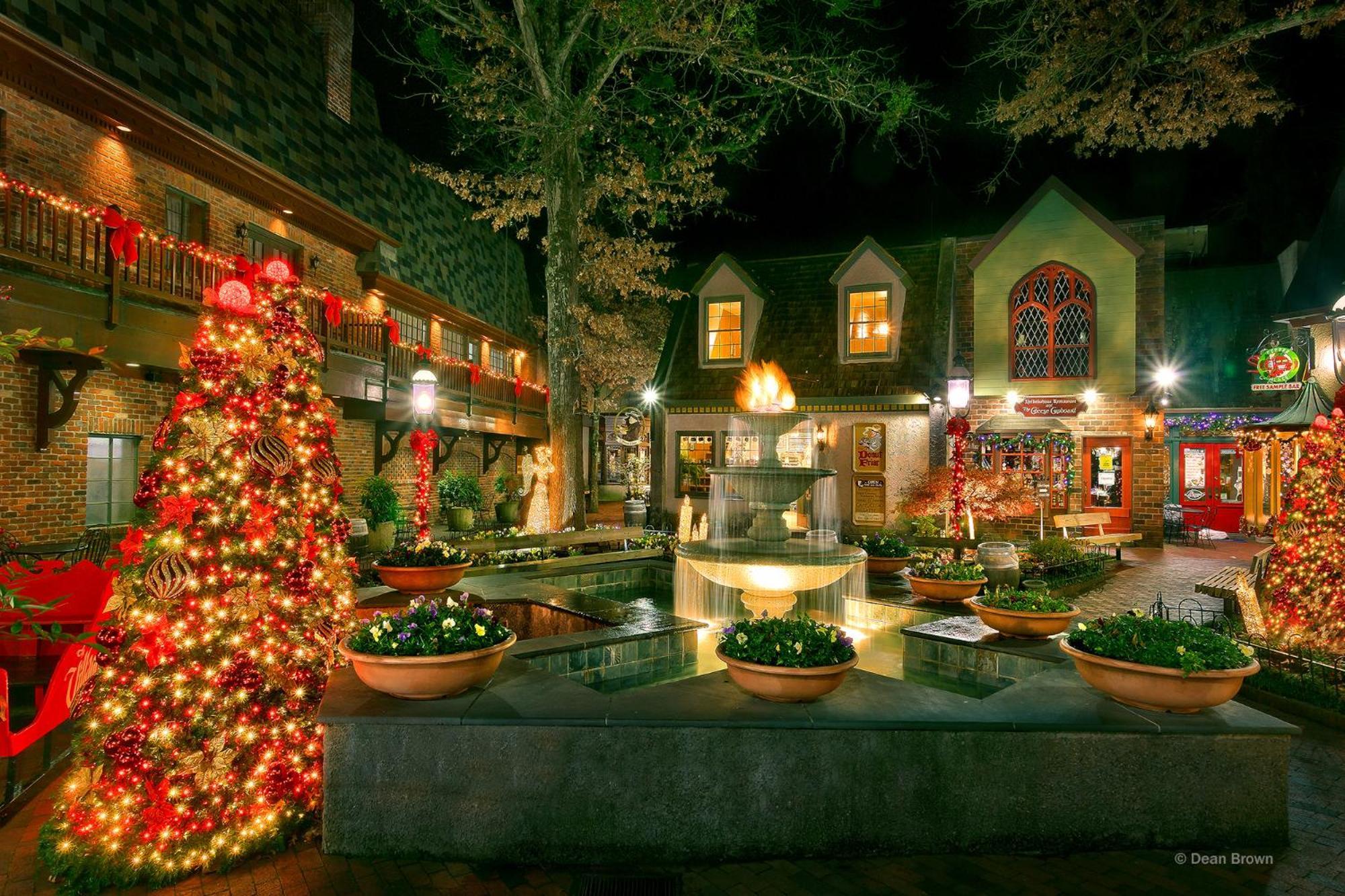 Beary Cozy Holiday home