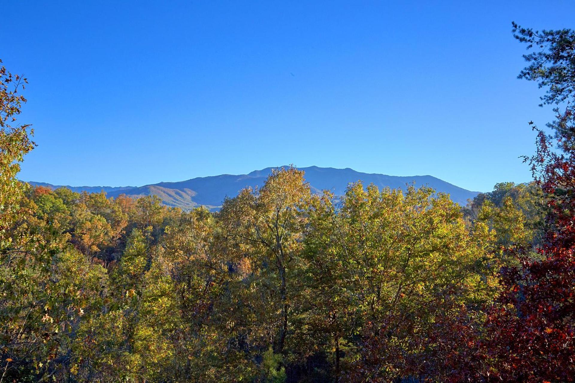 Apartment Moonshiners View
