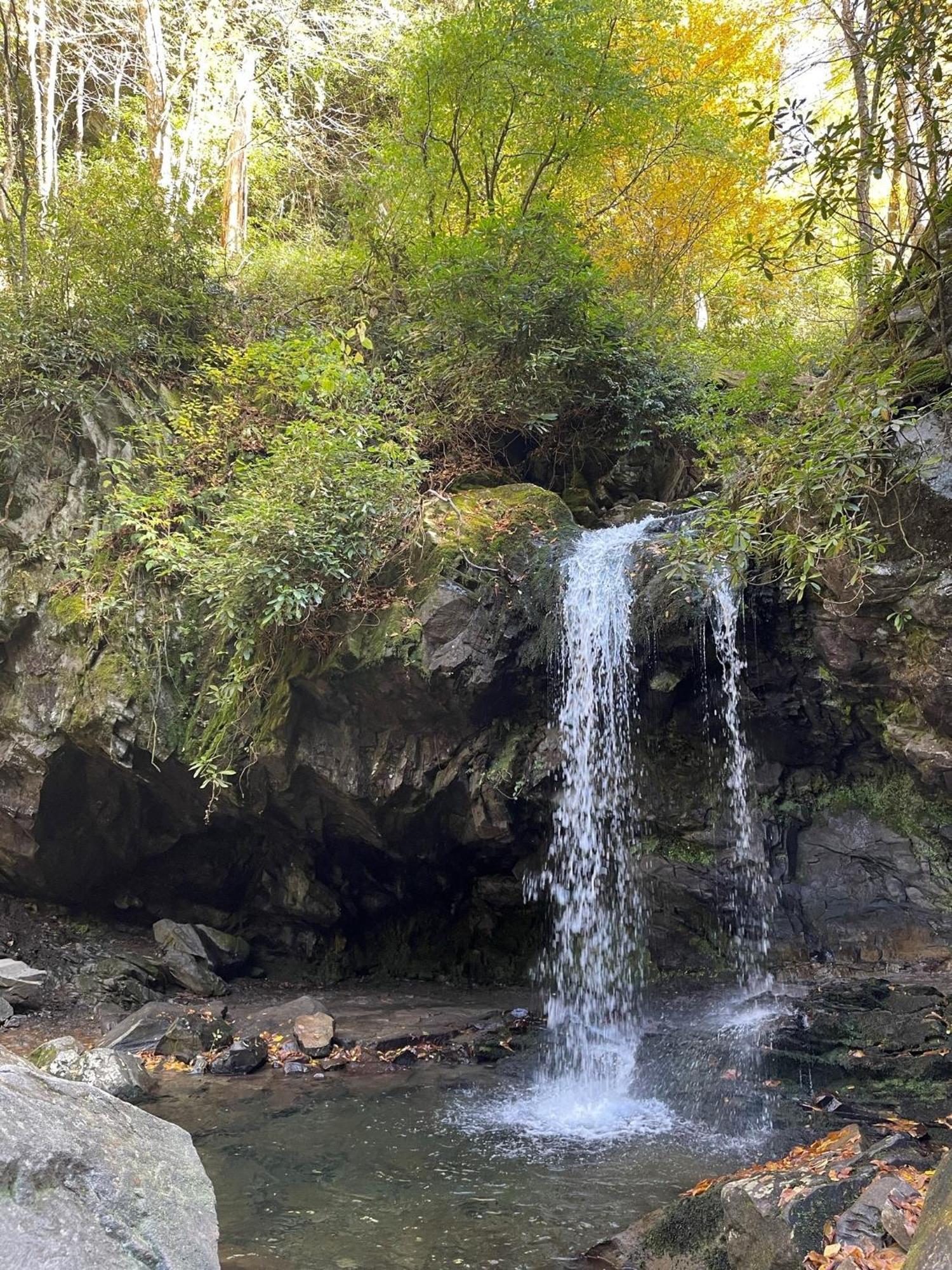 Cozy Cub, Breath Taking Mtn Views, Indoor Pool Apartment *