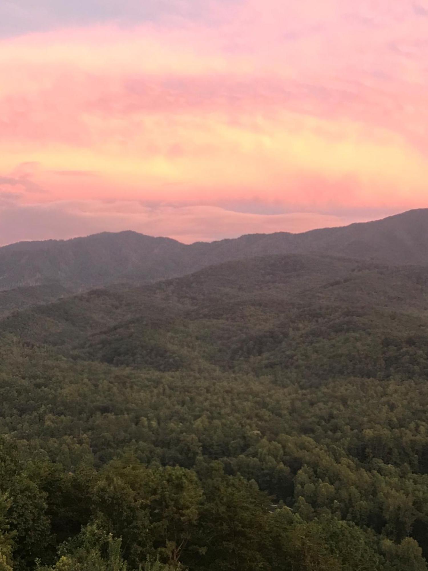 Cozy Cub, Breath Taking Mtn Views, Indoor Pool Apartment *