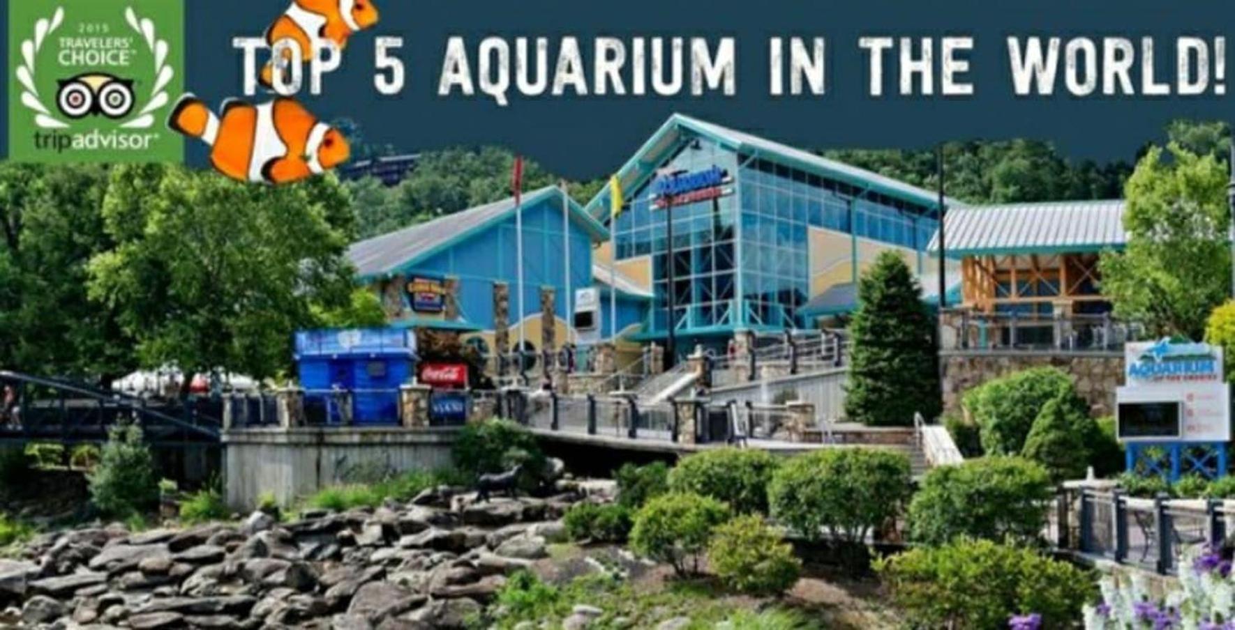 Holiday home Modern Style, 2 Bed Condo, Pool In Gatlinburg! Gatlinburg