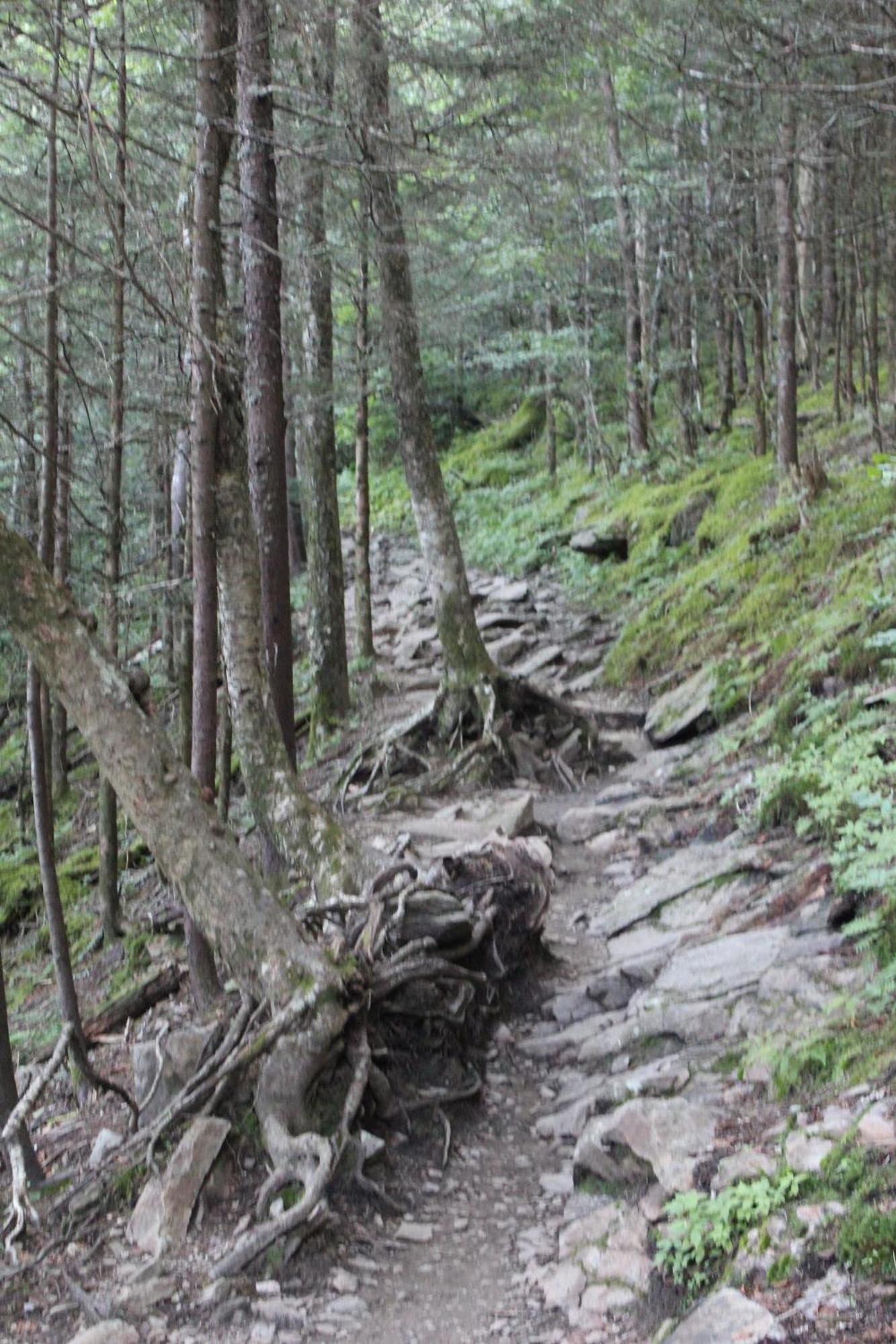 Smoky Heights Overlook, Luxury Log Cabin, Mountain & Views *