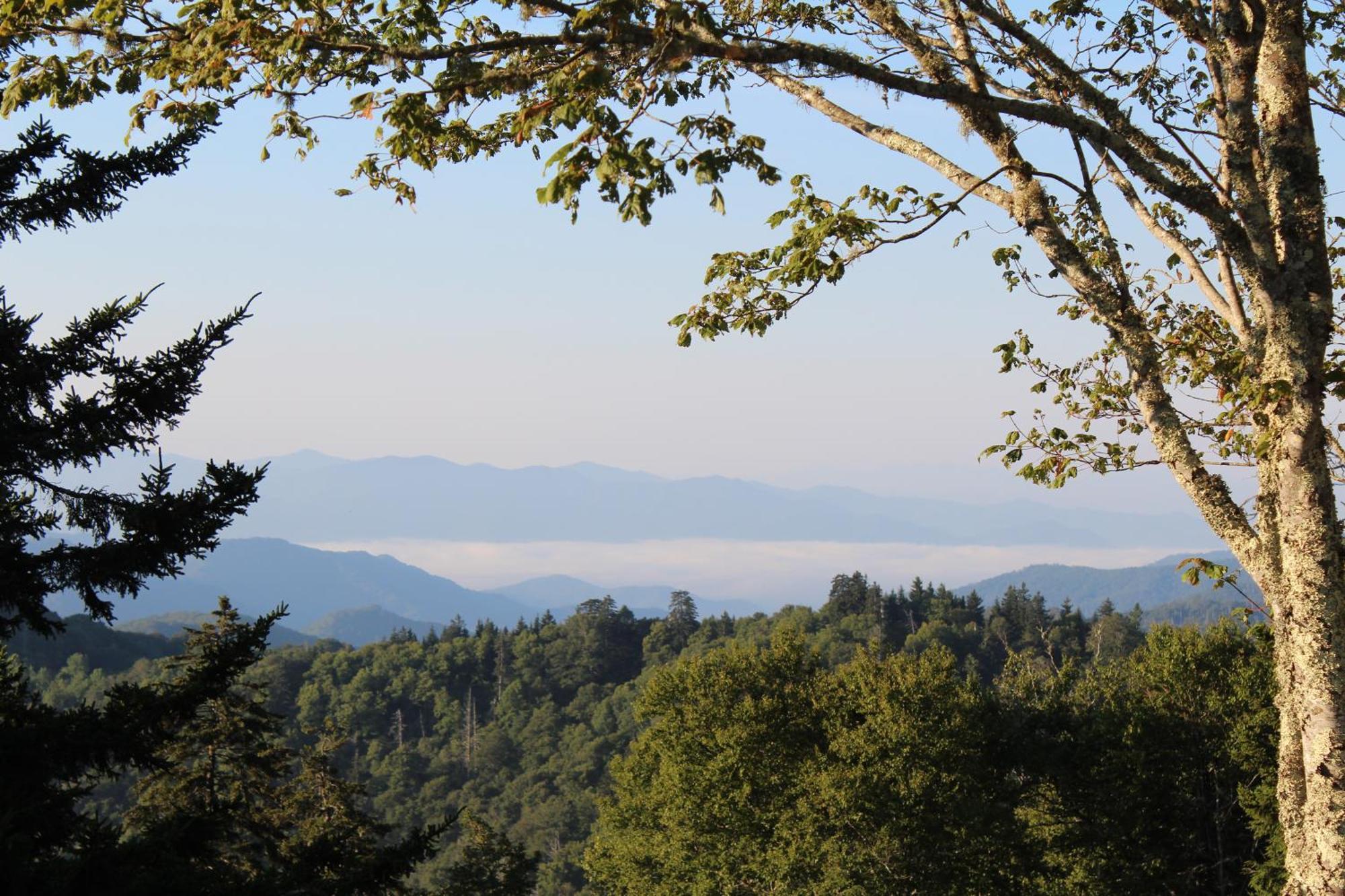 Holiday home Smoky Heights Overlook, Luxury Log Cabin, Mountain & Views
