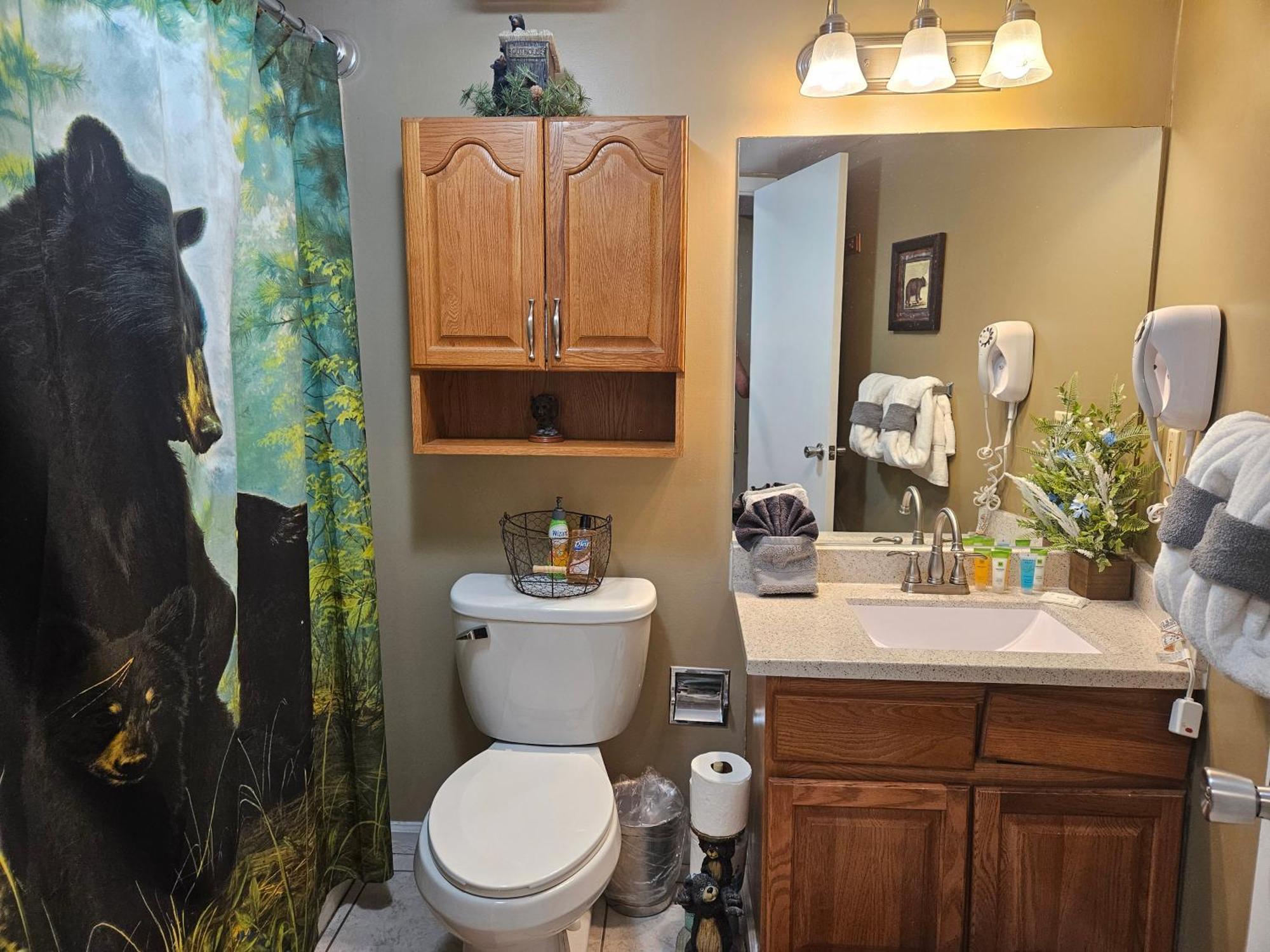 Apartment 202 Olde Place Gatlinburg