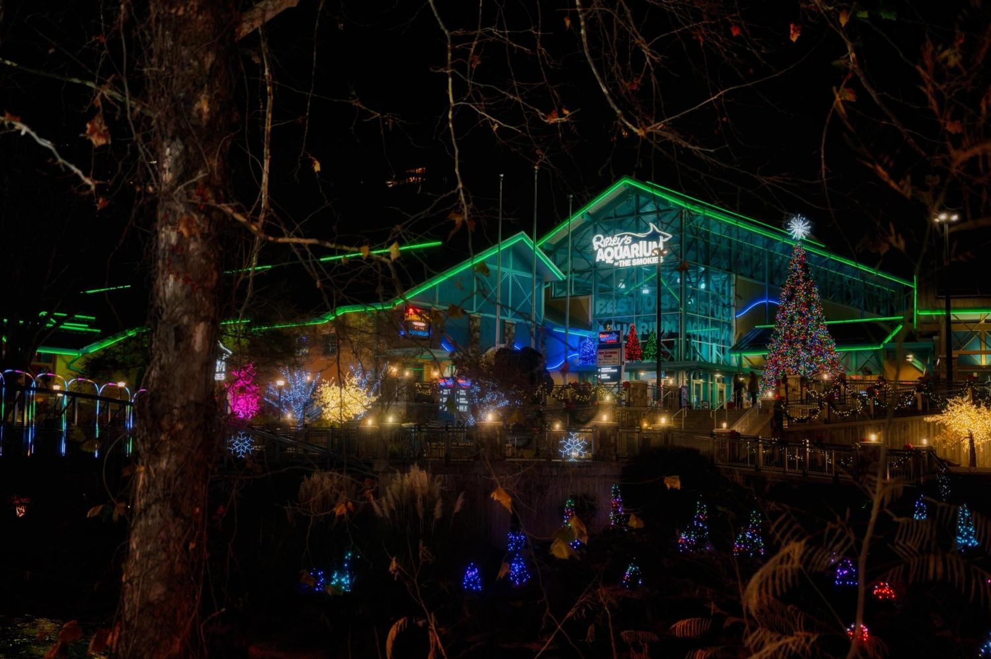 Chateau 503 * Gatlinburg
