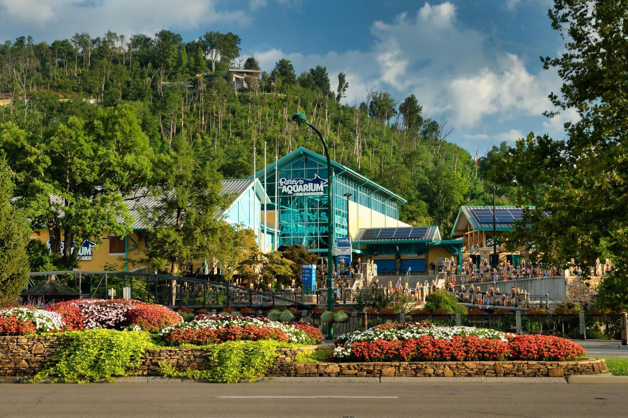 Mountain Overlook Gatlinburg