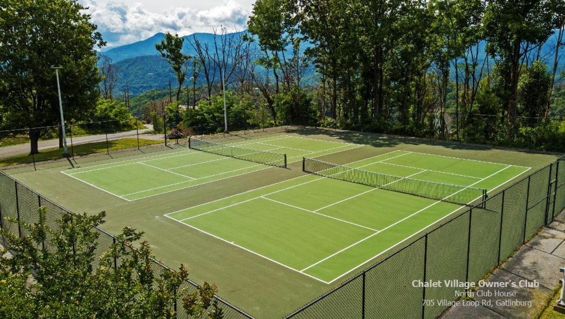 Mtview Close To Pkwy Slps 10 3bd-3ba Game Holiday home *