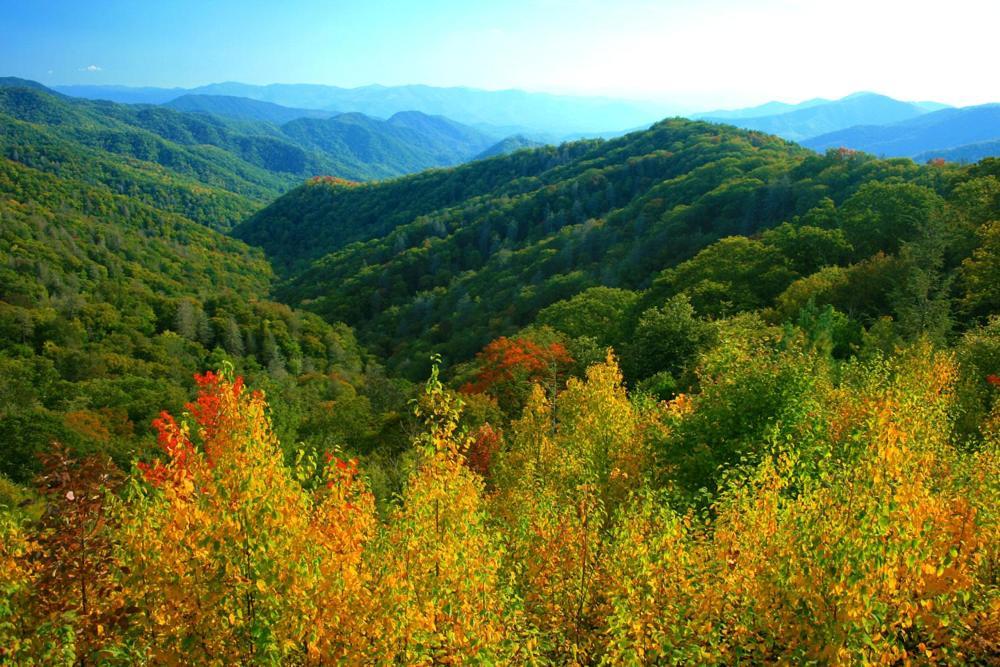 Modern Style, 2 Bed Condo, Pool In Gatlinburg! * Gatlinburg
