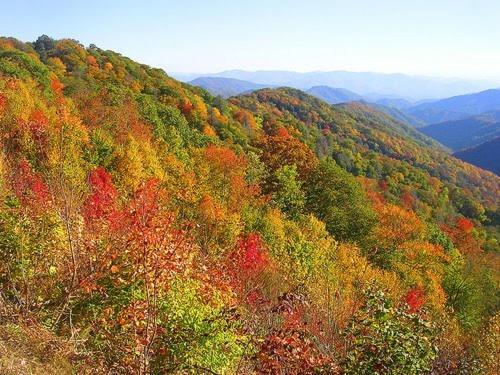 Holiday home Luxurious Condo, Pool, Fireplace, Hiking *