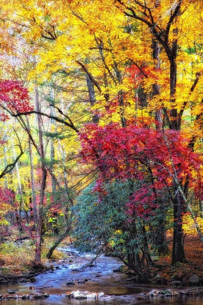 Luxurious Condo, Pool, Fireplace, Hiking Holiday home Gatlinburg