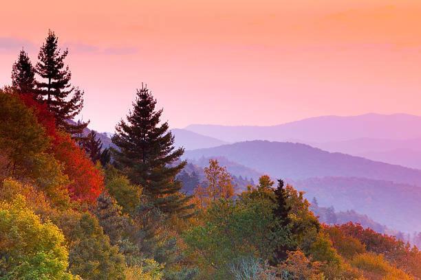 Dreams True With Luxury Cabin! Gatlinburg