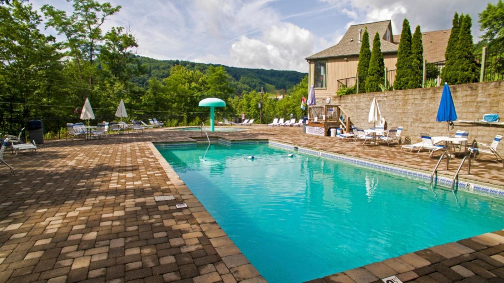 Large Modern-style W Pool, Gym, Game Holiday home