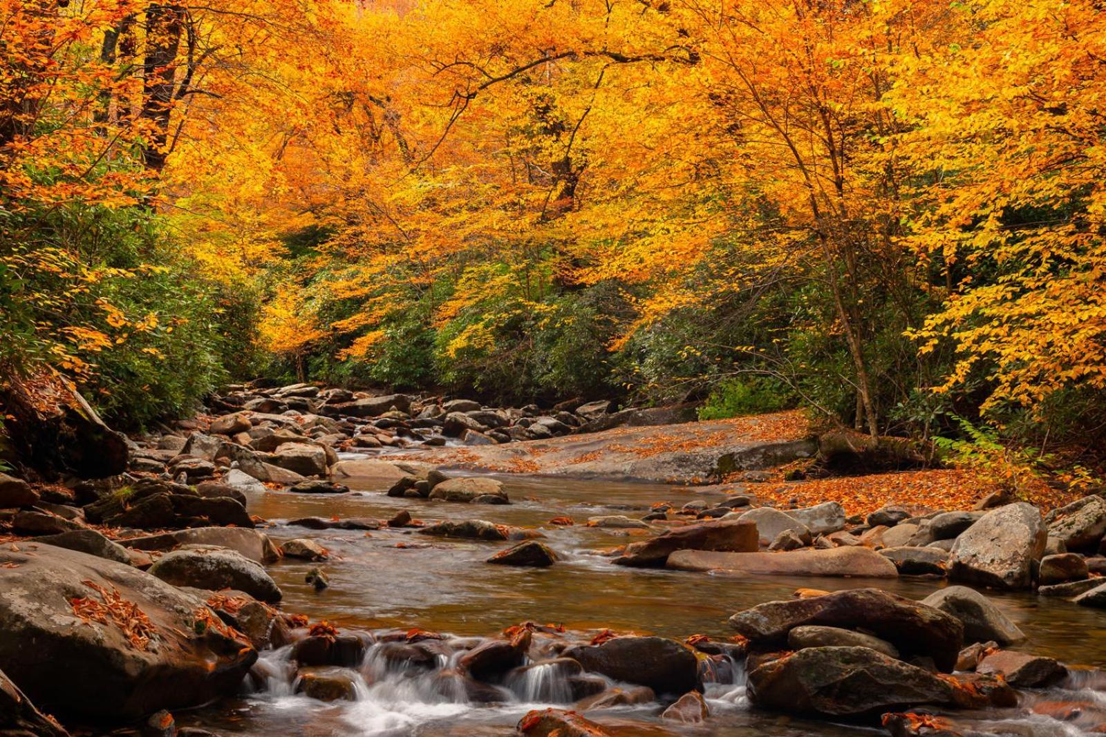 A Charming Cabin, Pool, Firepit, Hot Tub-jacuzzi Gatlinburg