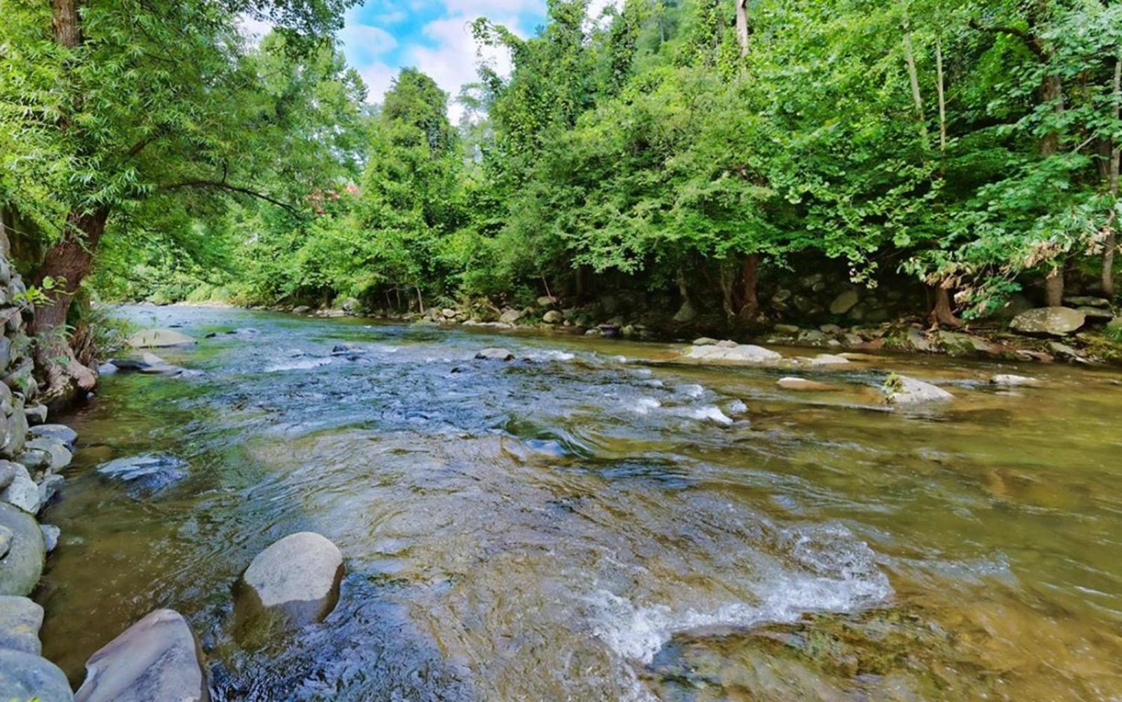 Simones Gatlinburg