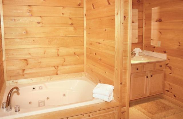 Honey Bear Hideaway Holiday home Gatlinburg