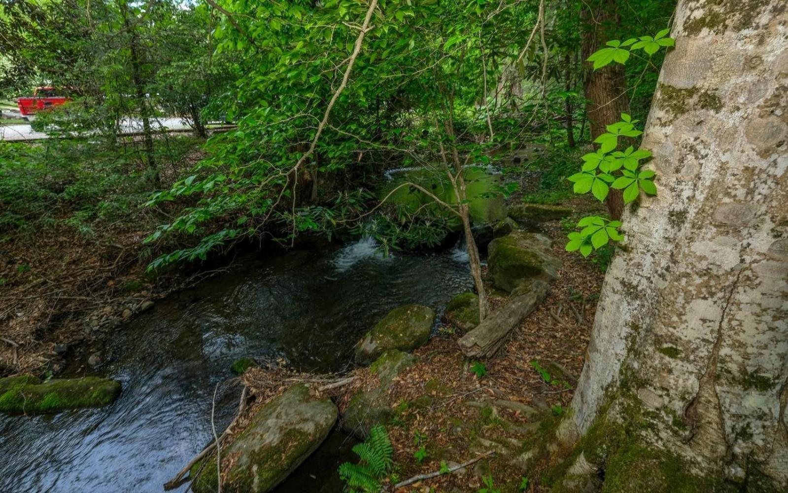 Scenic Creek *