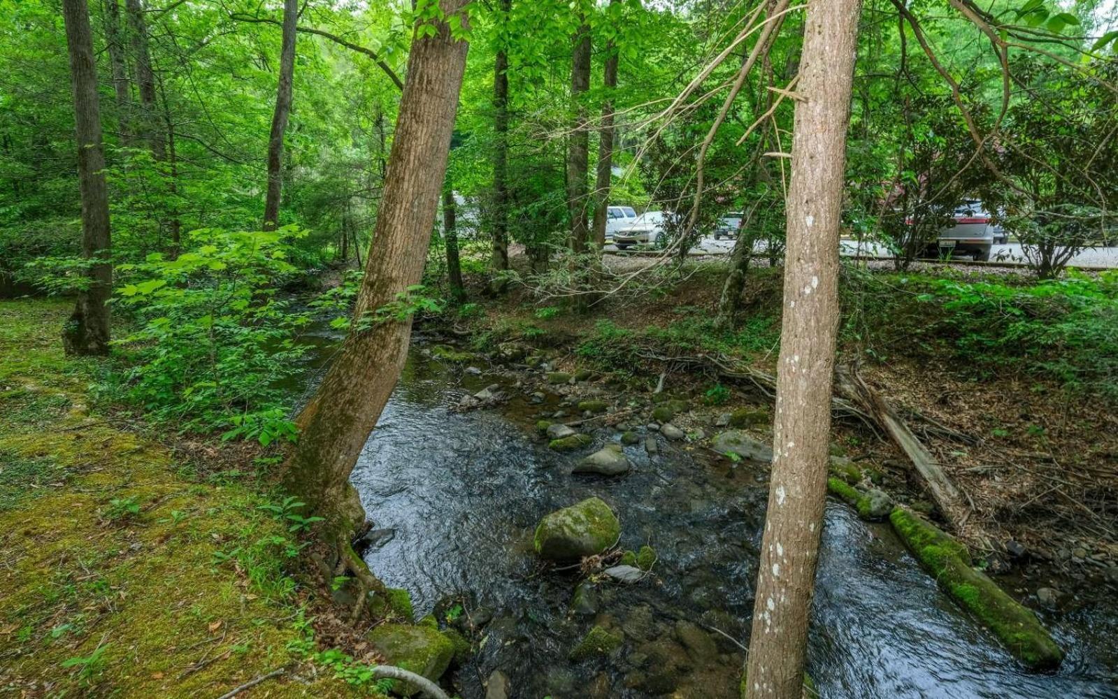 Scenic Creek Villa