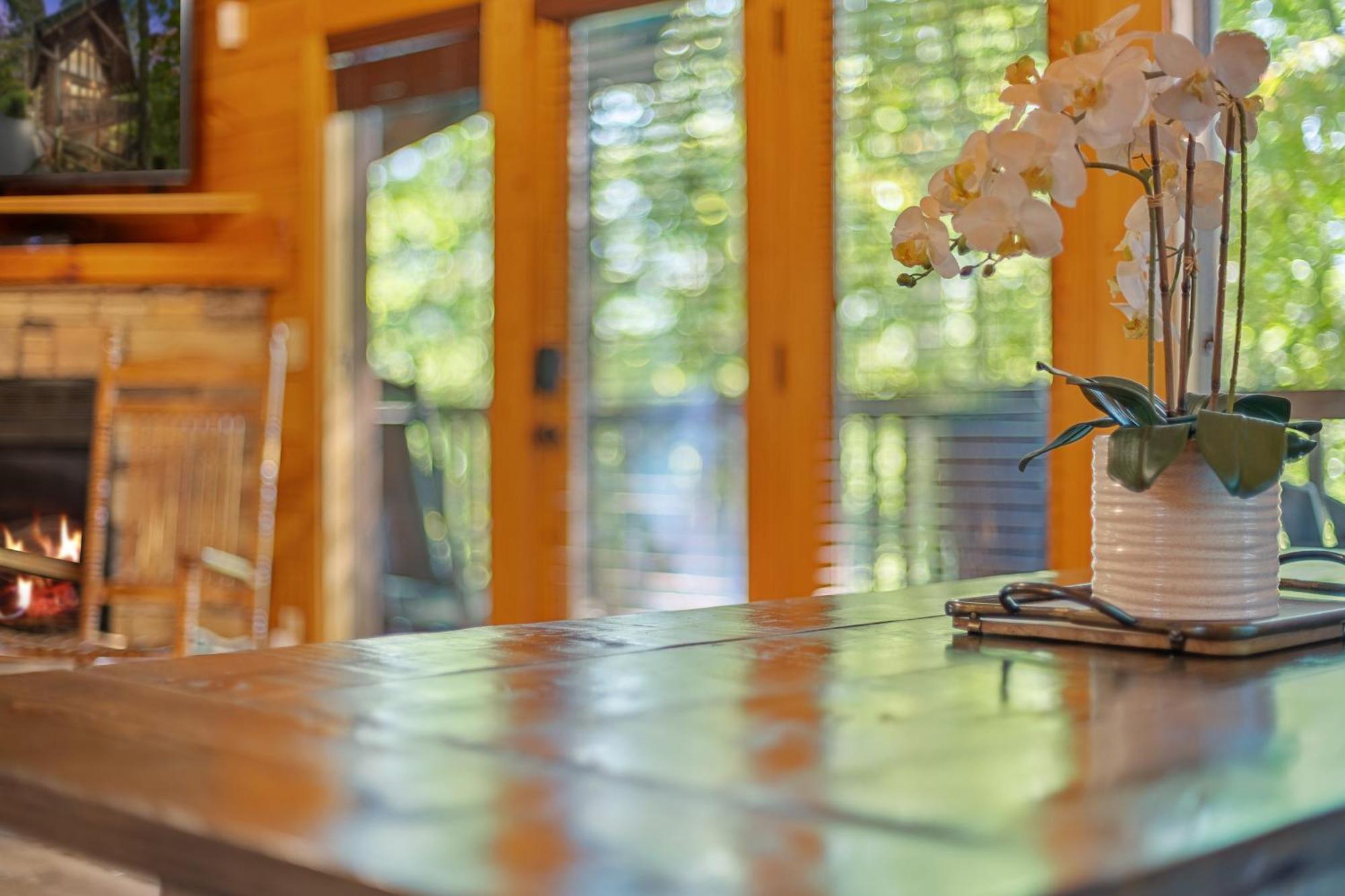 Gray Fox Den Theater & Arcade, Hot Tub, Views Holiday home Gatlinburg
