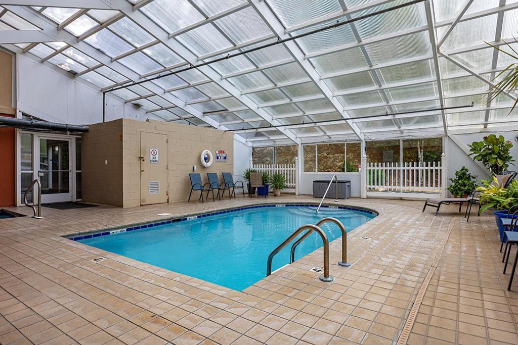 Bearfoot Condo, Free Parking, & Only A 12 Mile From Ripley's Aquarium *
