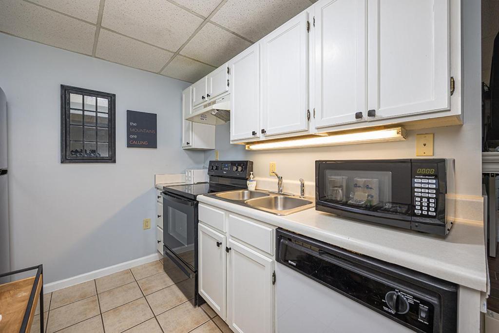 Bearfoot Condo, Free Parking, & Only A 12 Mile From Ripley's Aquarium