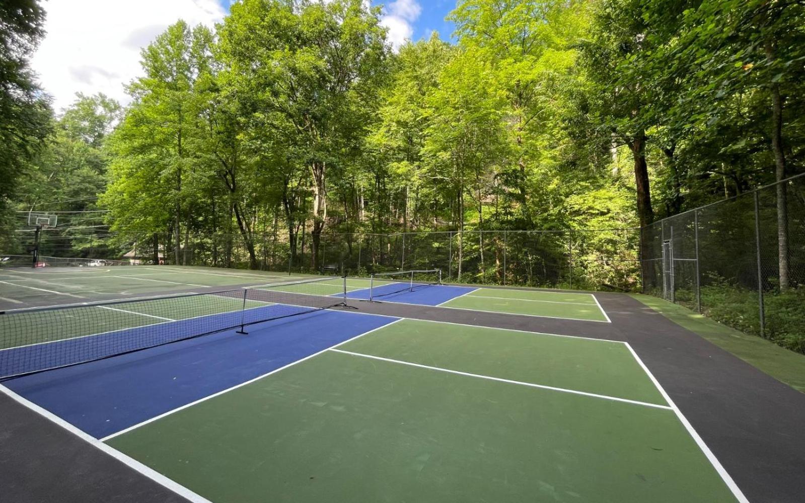 Black Bear Getaway Villa