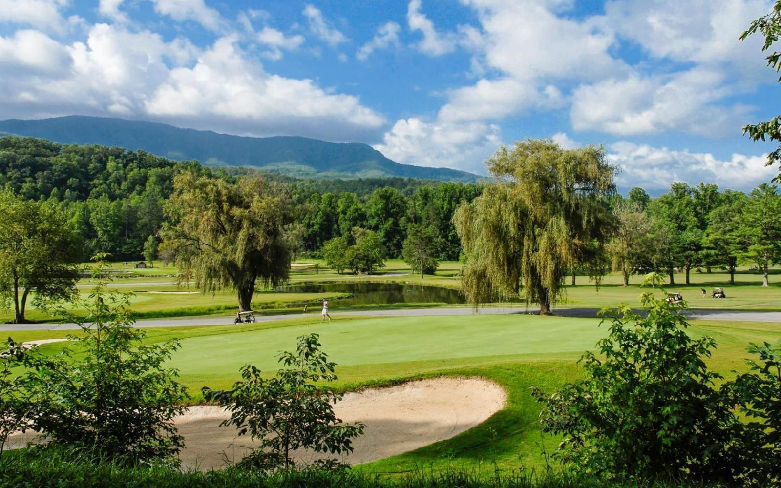 Black Bear Getaway Villa Gatlinburg