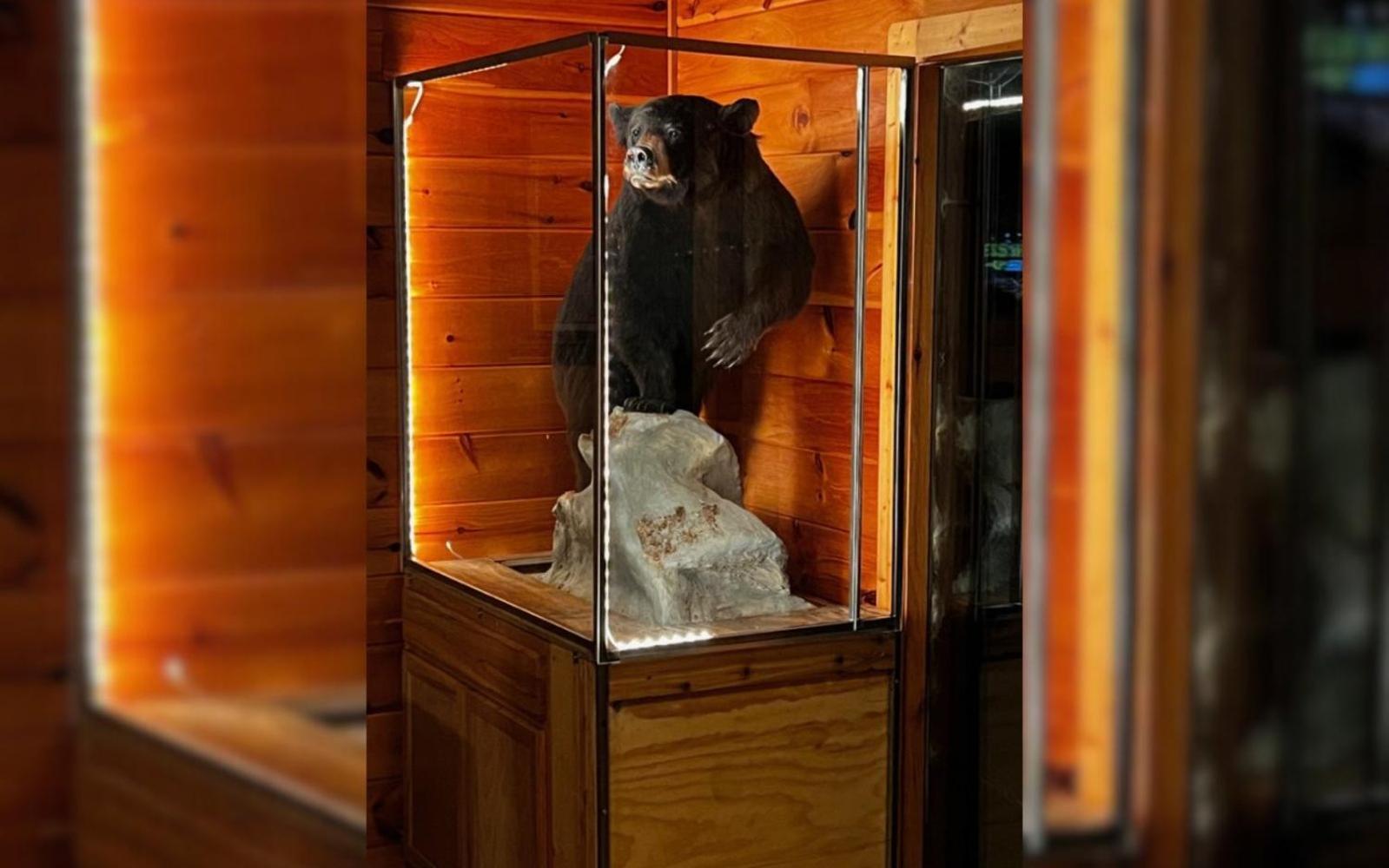 Snuggly Bear Villa *