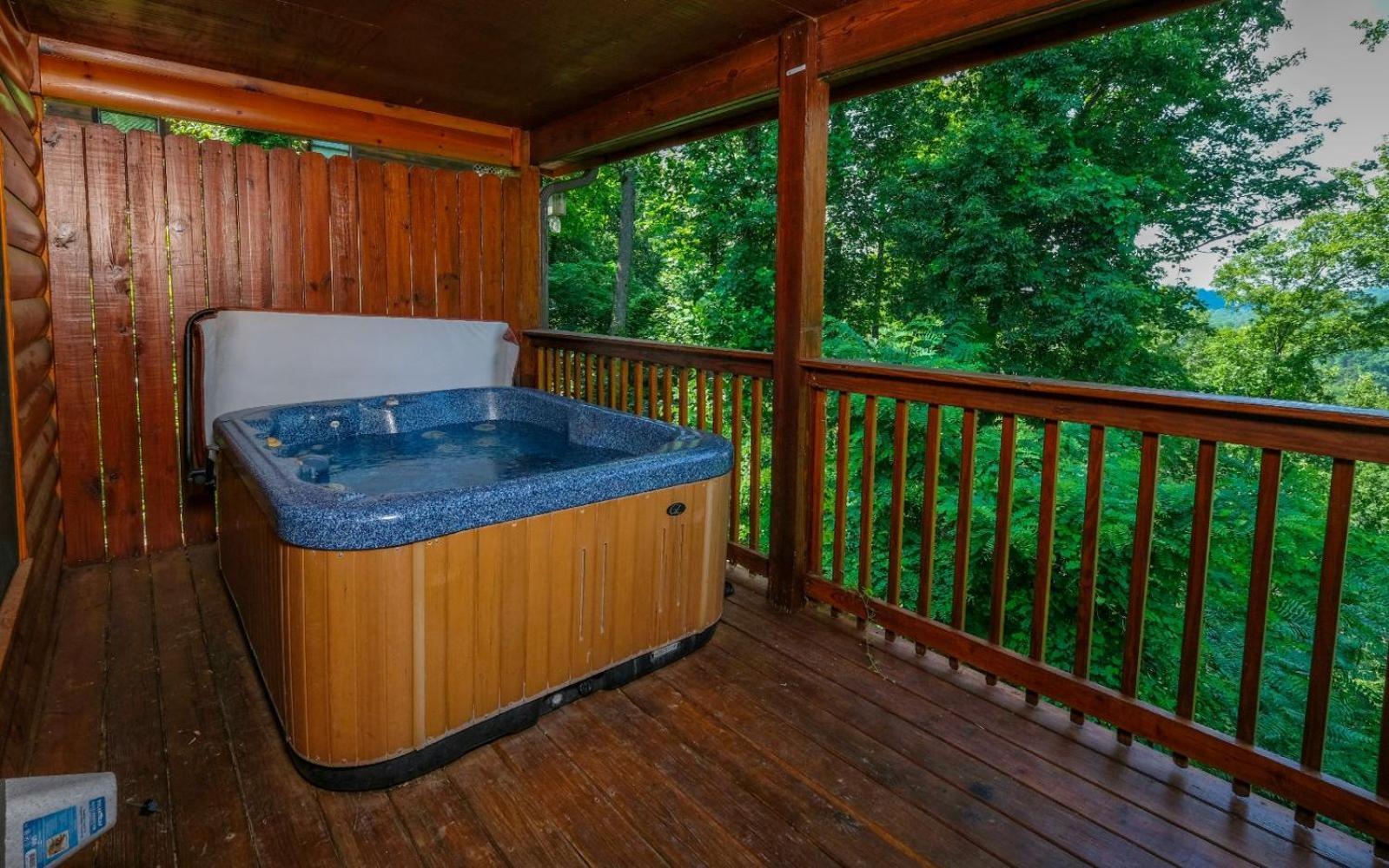 Snuggly Bear Villa Gatlinburg