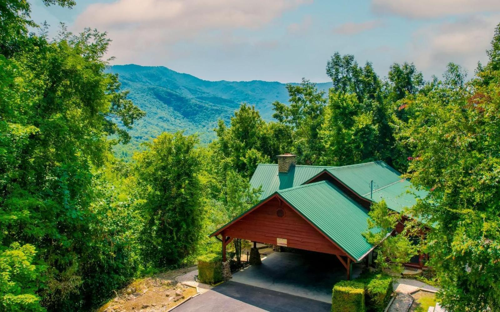 Treetop Retreat