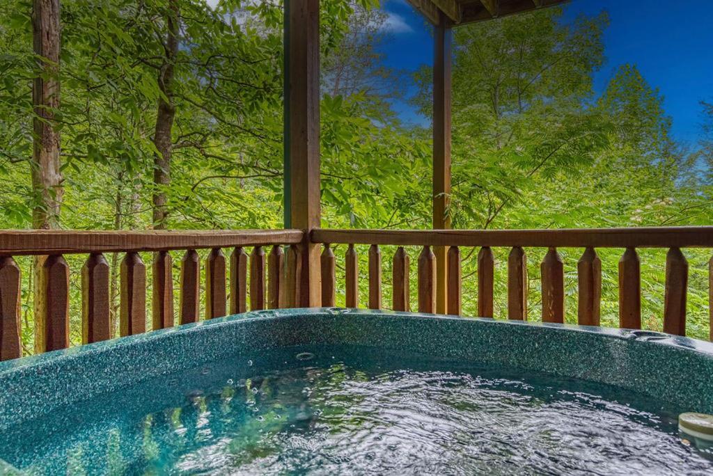 Holiday home It's 5 O'clock Somewhere Hot Tub, Theater Room,1089 Free Tickets Each Paid Day, Dollywood And