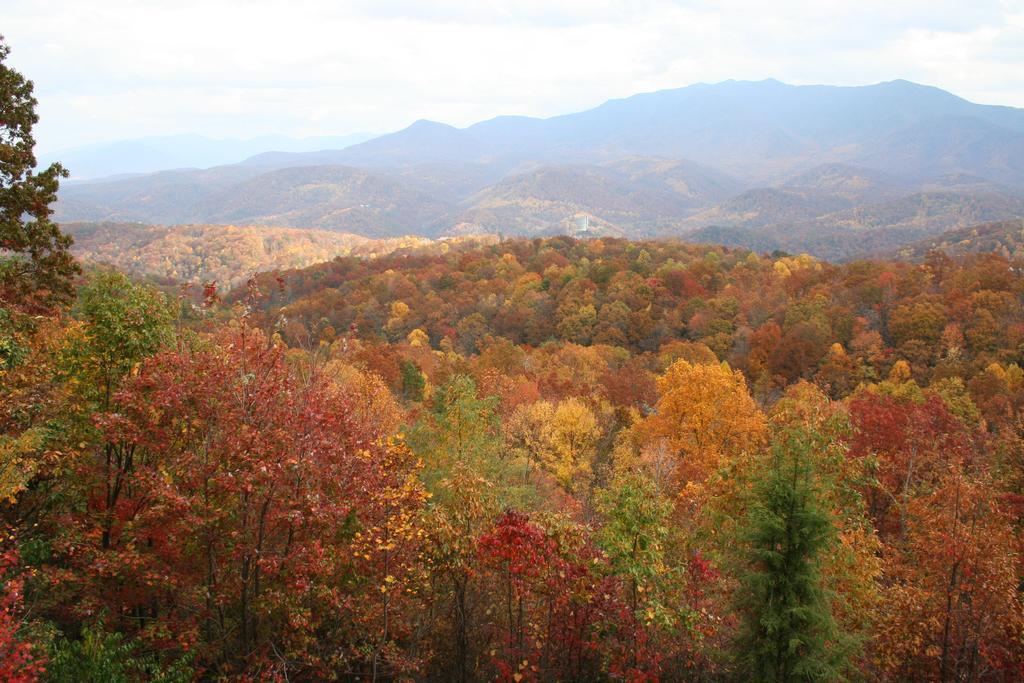 The Foxtrot Bed & Breakfast Gatlinburg