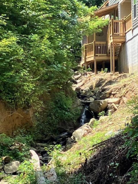 Falling Brook *