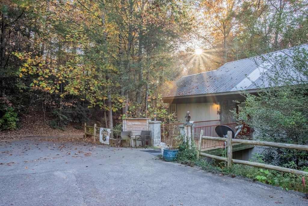 New Listing Sasquatch F