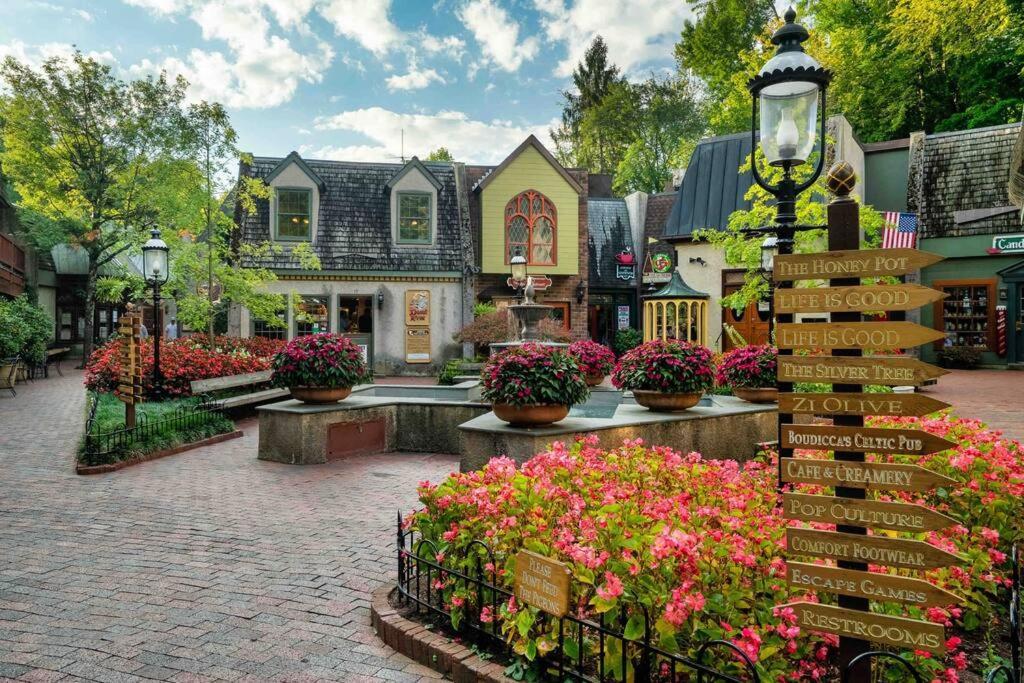 Flat Roads, Mountain View, Full Gym And Tennis Court Apartment Gatlinburg