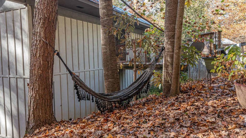 Chalet New Listing Sasquatch F Gatlinburg