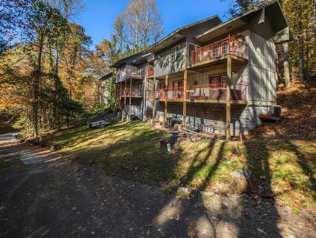 New Listing Sasquatch F *