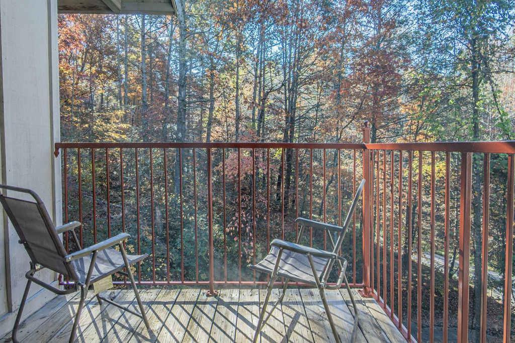 Chalet New Listing Sasquatch F