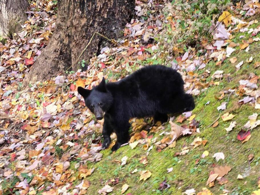 Whispering Bears Holiday home Gatlinburg