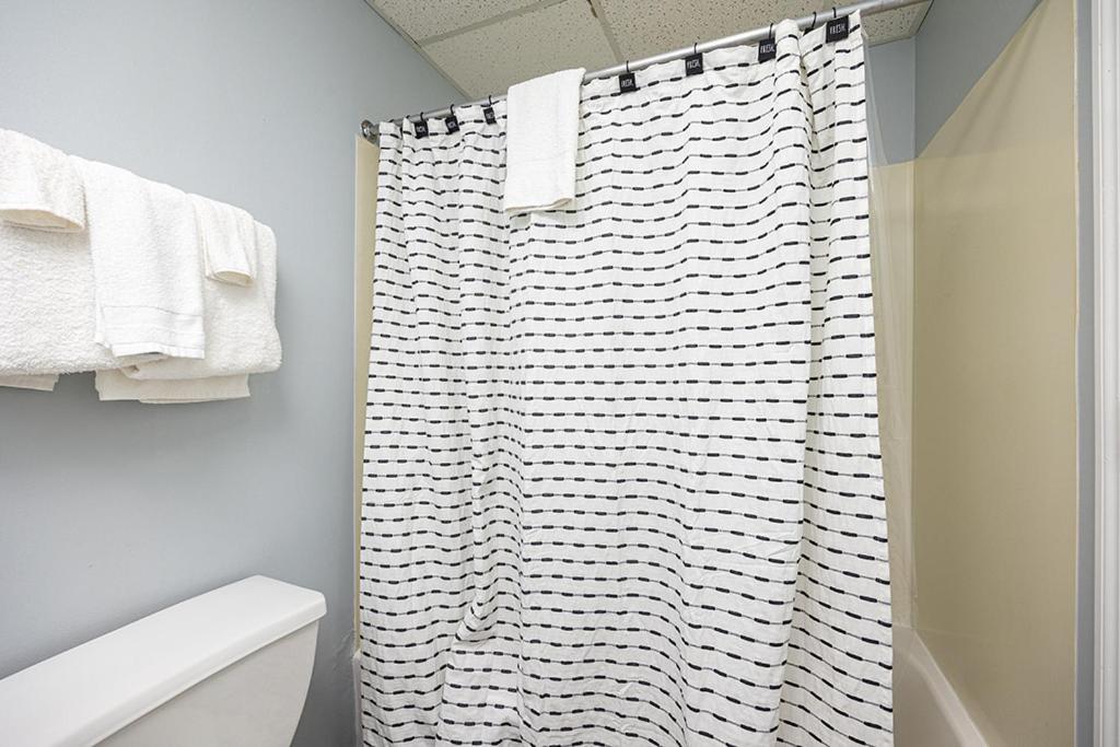Bearfoot Condo, Free Parking, & Only A 12 Mile From Ripley's Aquarium