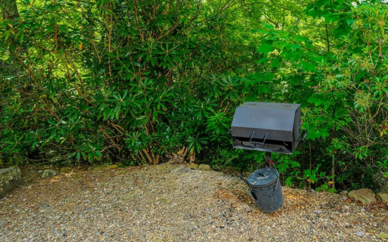 Black Bear Getaway *