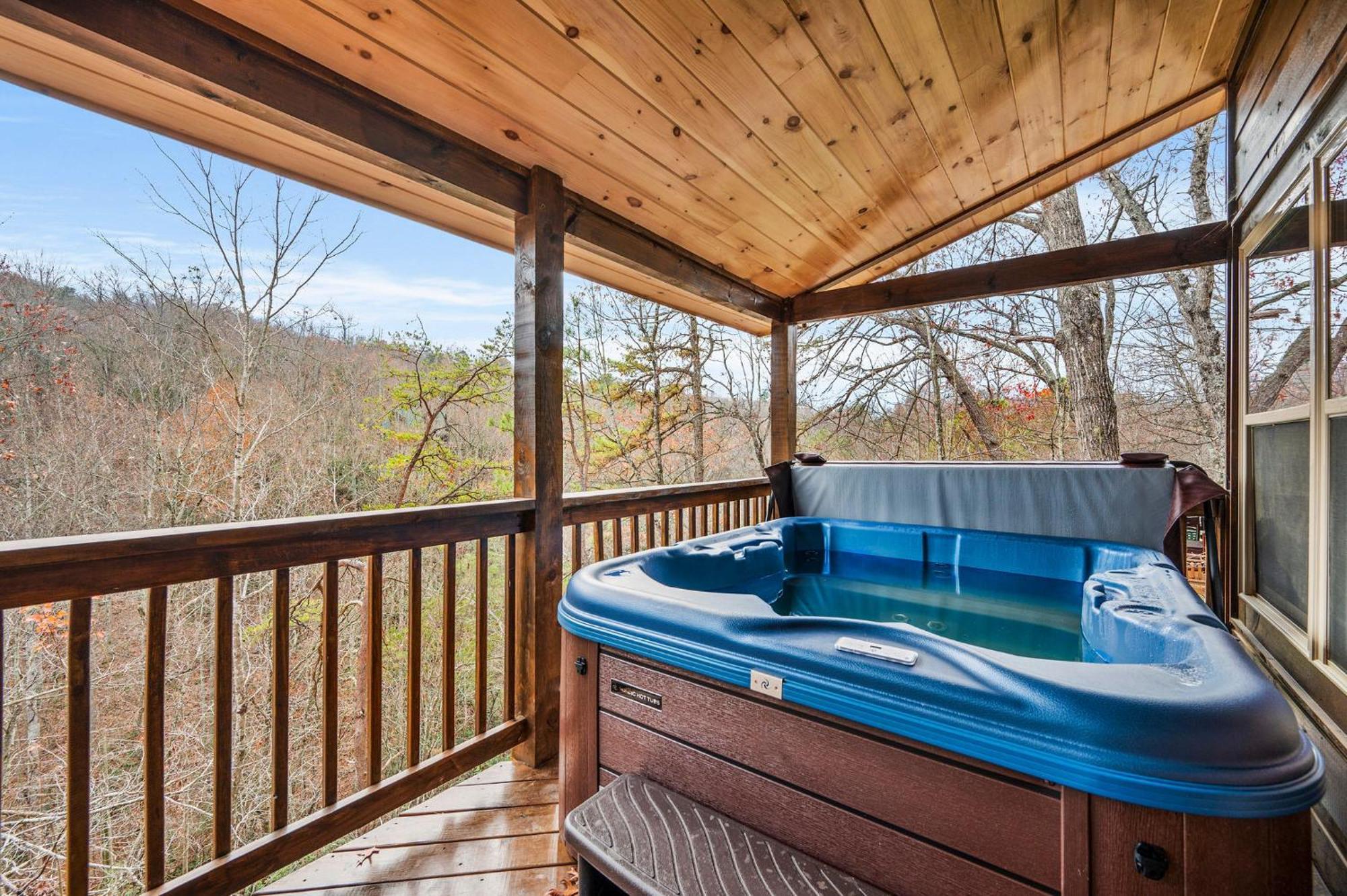 Bear Mountain Vista Holiday home *