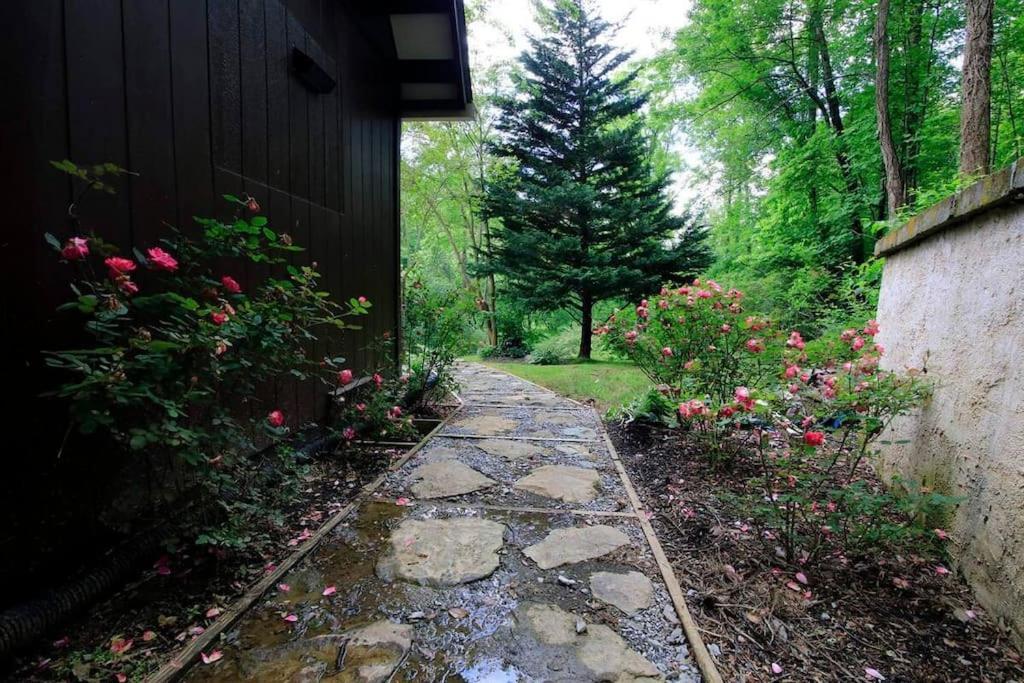 Foothills - Lrg Private - Hottub - Fireplace & Pit - Gburg 7min Chalet *