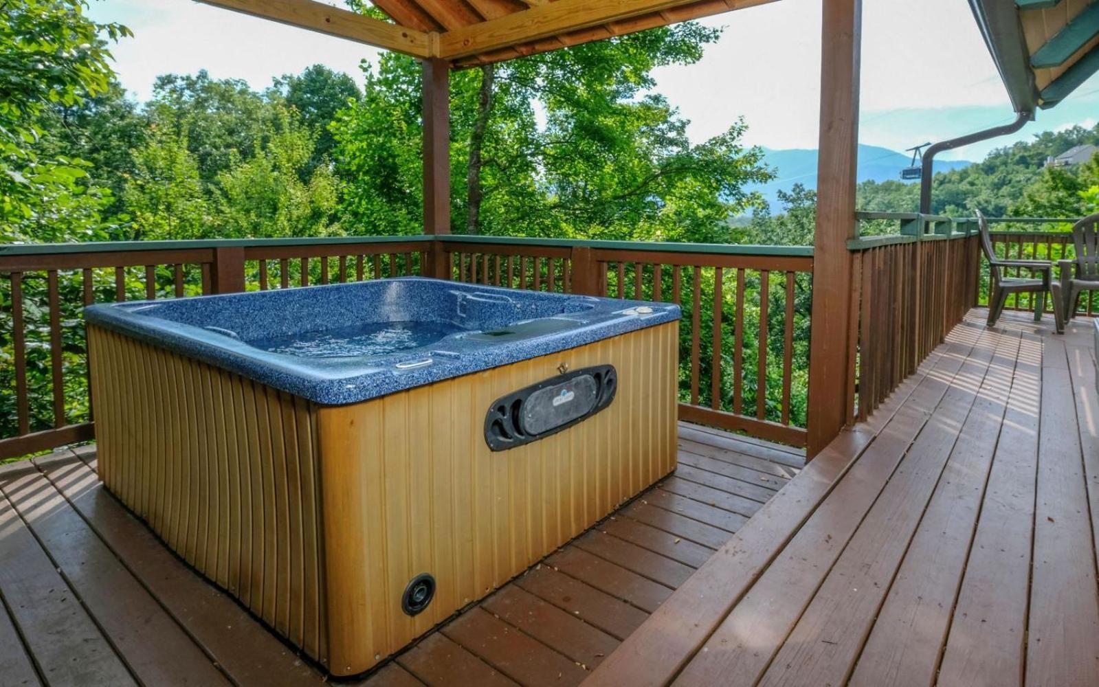Cozy Bear 856 Gatlinburg