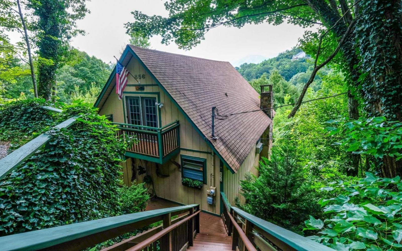 Cozy Bear 856 Gatlinburg