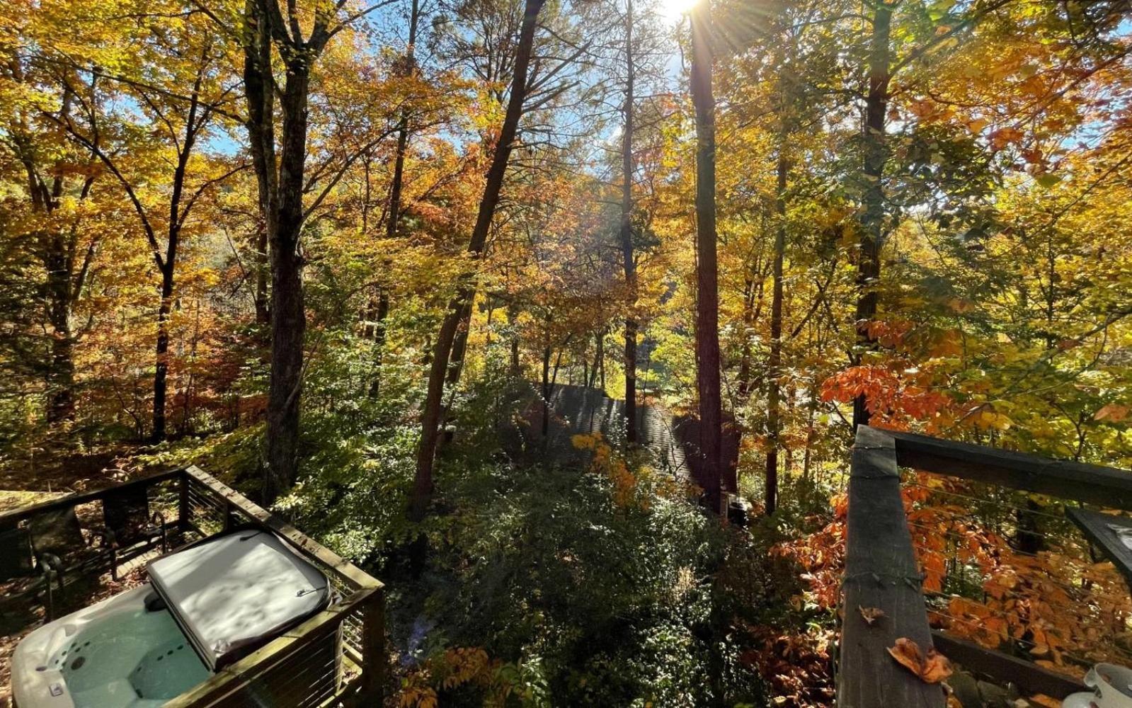 Black Bear Retreat Villa