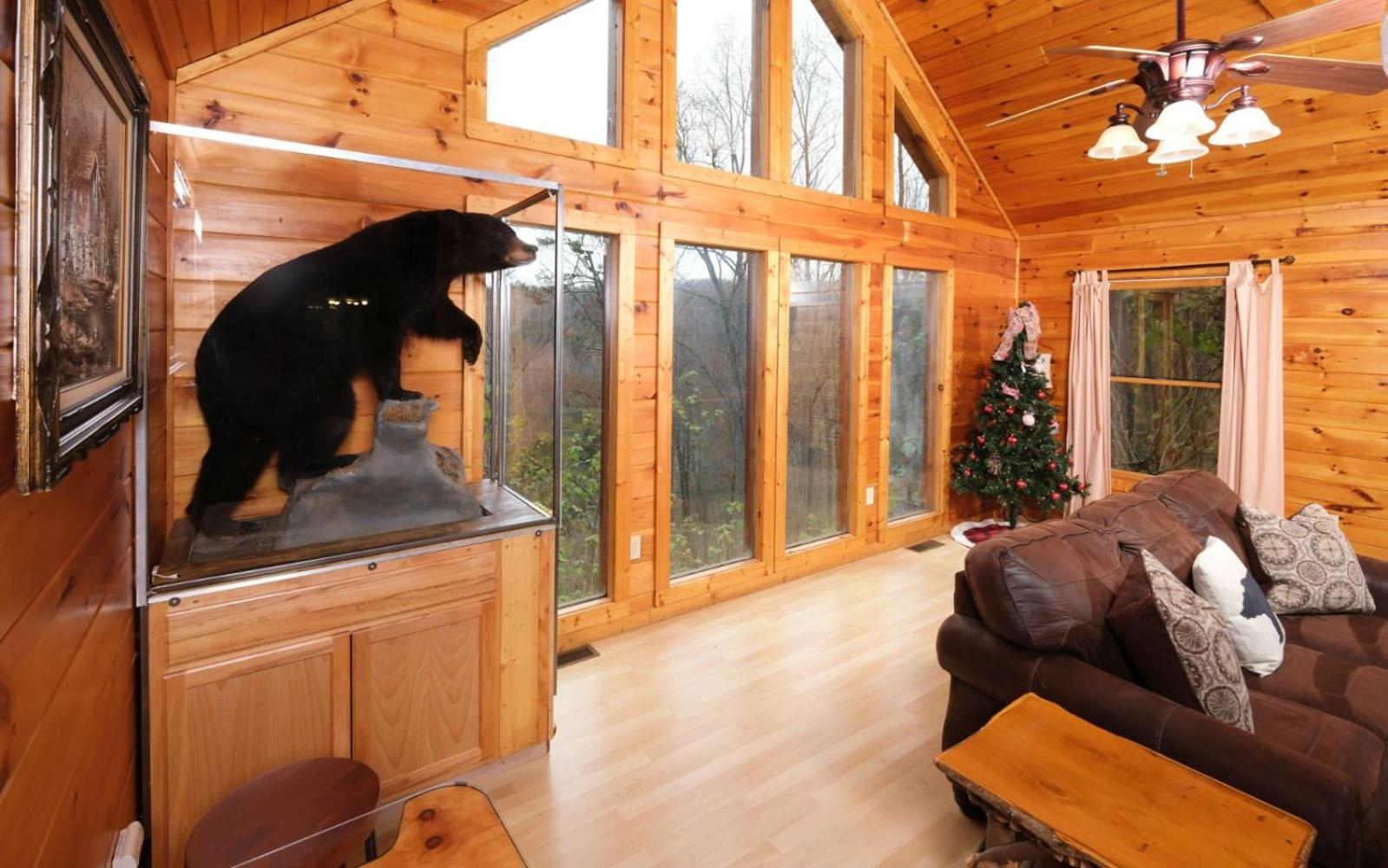 Villa Snuggly Bear *