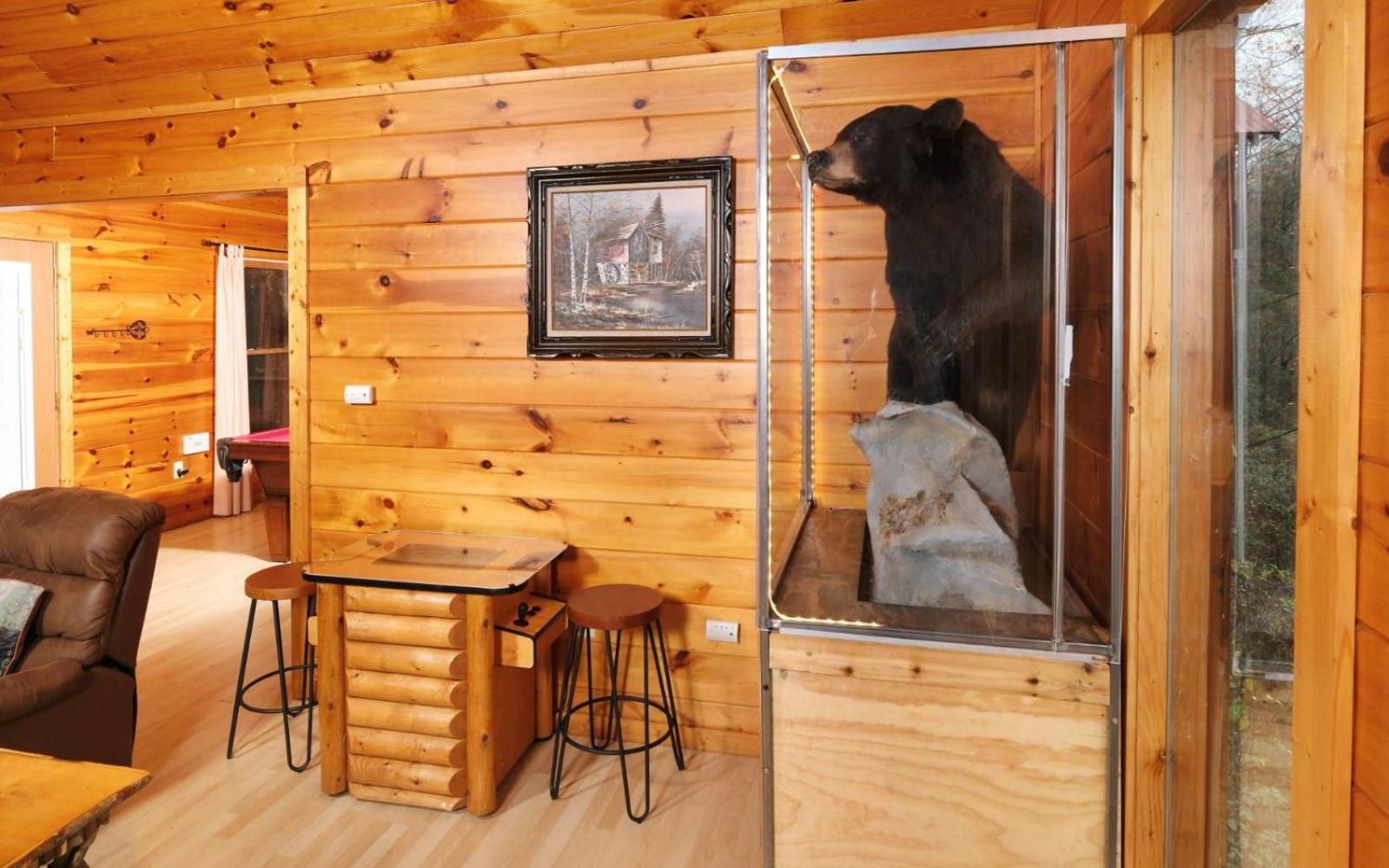 Snuggly Bear * Gatlinburg